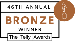 bronze telly award