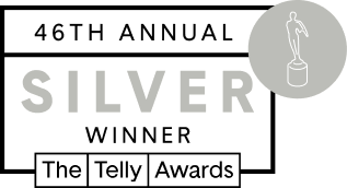 telly silver award